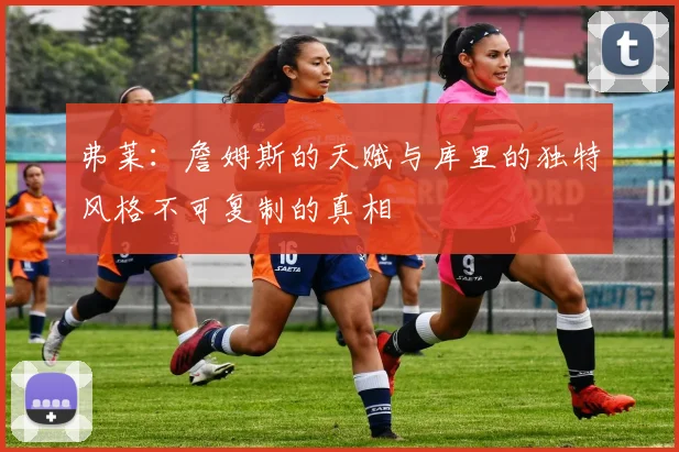 弗莱：詹姆斯的天赋与库里的独特风格不可复制的真相